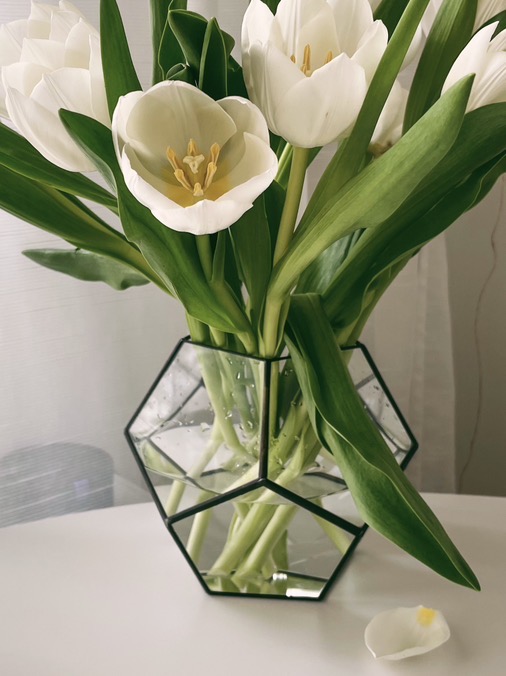 флорариум додекаэдр Ваза для цветов (пустая форма)