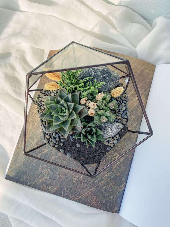 флорариум с суккулентами Тёмный
