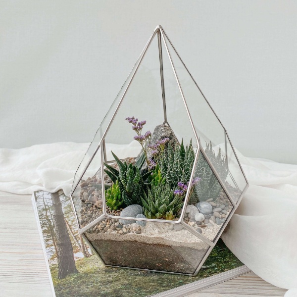 флорариум с теневыносливыми суккулентами Скай