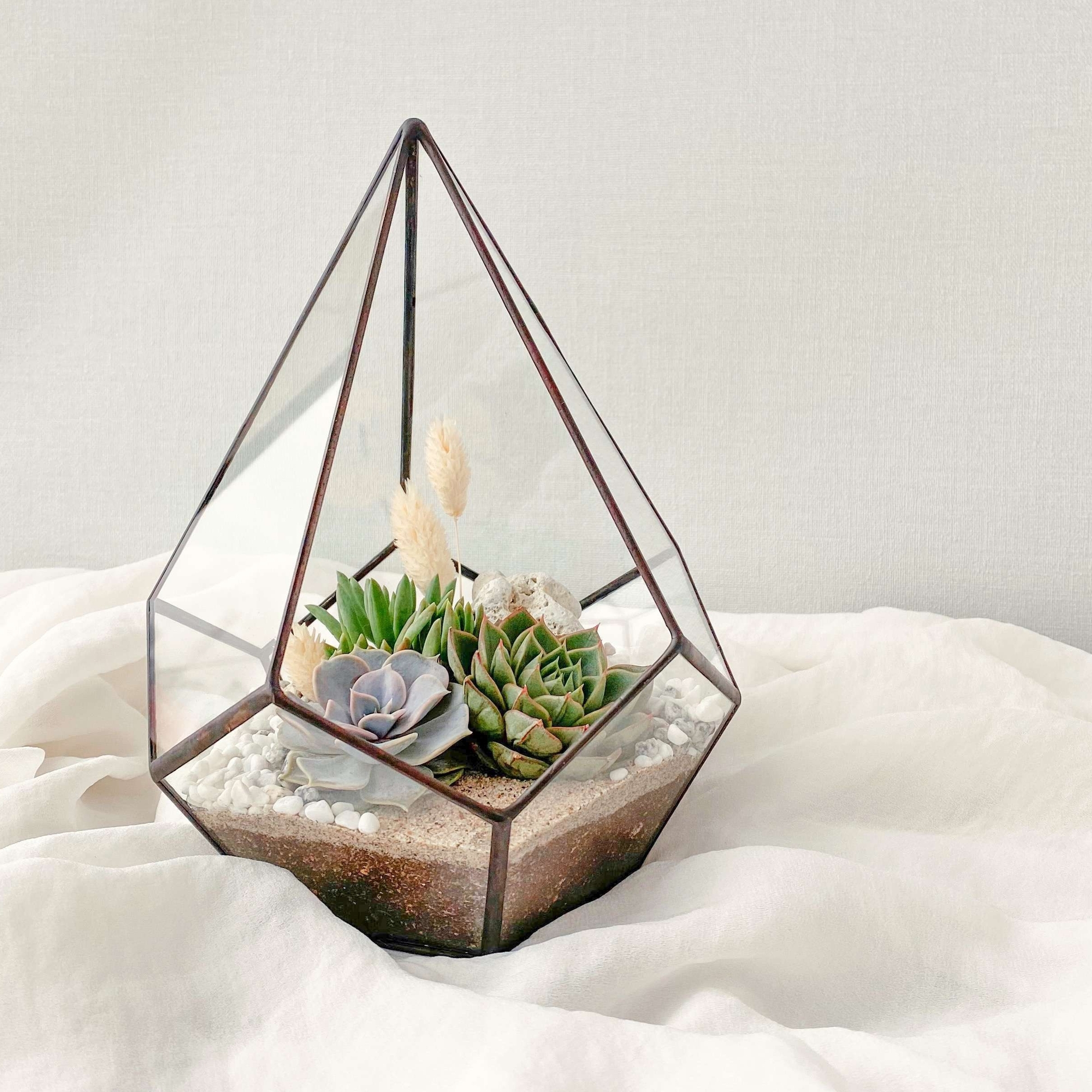 флорариум Капелька суккулентов S