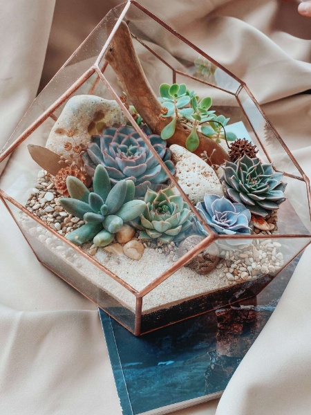 большой флорариум с суккулентами Стоун