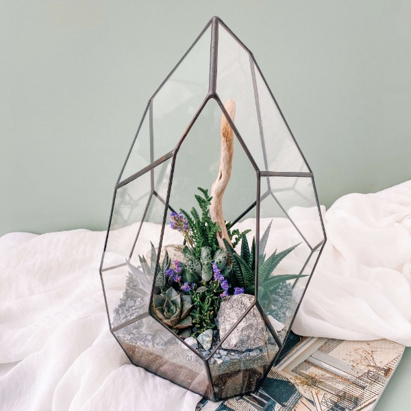 флорариум с теневыносливыми сукклуентами Скала