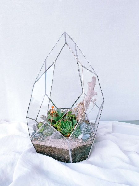 флорариум с сукклуентами Скала, высота 40см