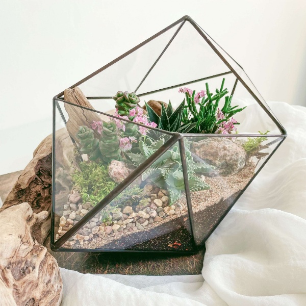 флорариум с суккулентами Северное лето