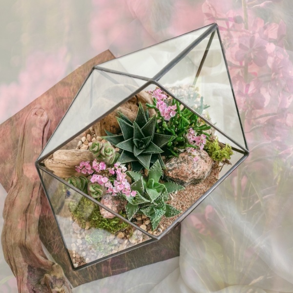 флорариум с суккулентами Северное лето
