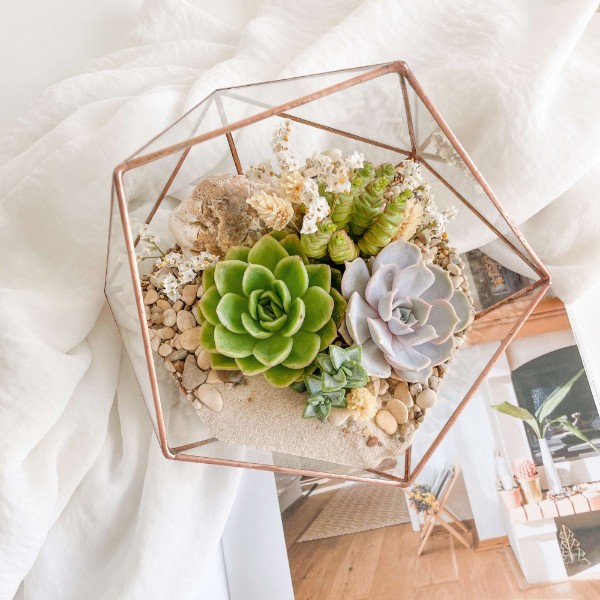 флорариум c суккулентами Бохо