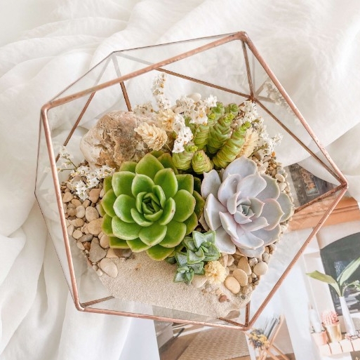 флорариум c суккулентами Бохо