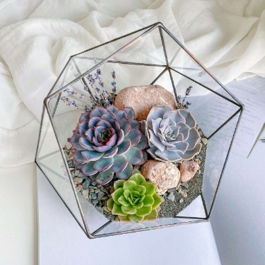 большой Лавандовый икосаэдр  с суккулентами