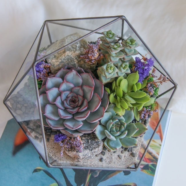 флорариум c суккулентами Летний вечер