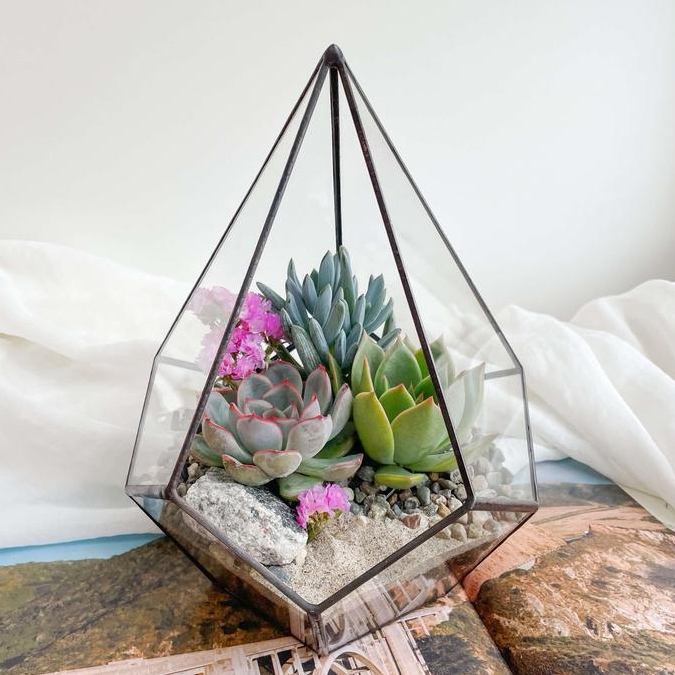флорариум с суккулентами Капелька