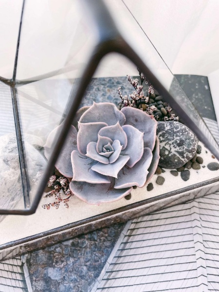 флорариум Мини-горы