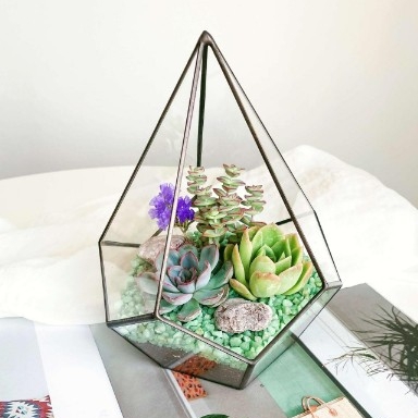 флорариум с суккулентами Яркая капелька
