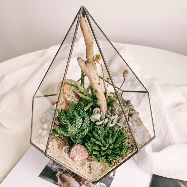 флорариум капля c суккулентами Онега