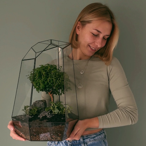 флорариум Самурай с мирсиной африканской