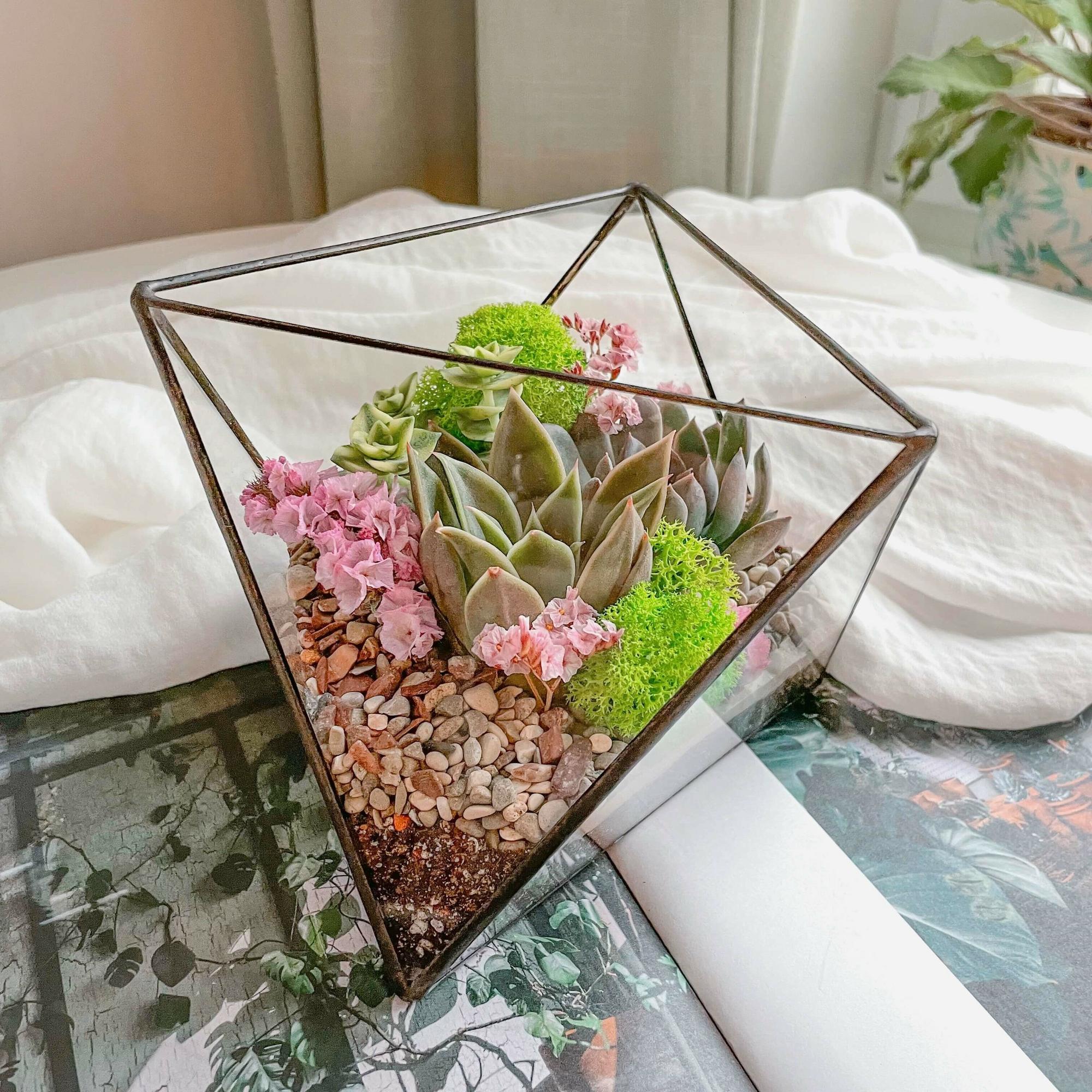 флорариум октаэдр Весенний