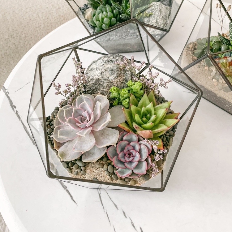 флорариум с суккулентами Весенний