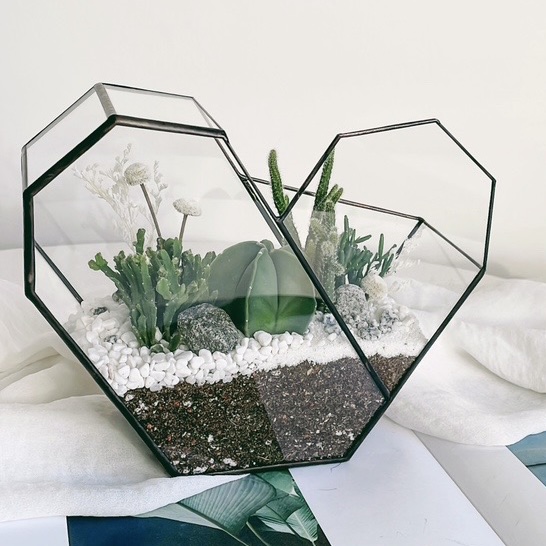 флорариум с теневыносливыми суккулентами Зеленое сердце