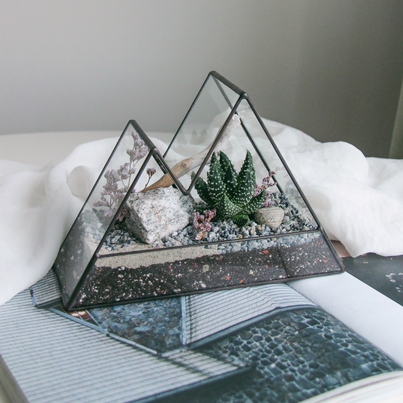 флорариум мини-горы Сопка