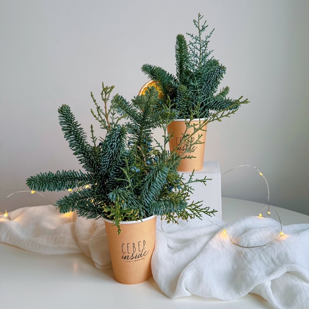 стаканчик Еловый