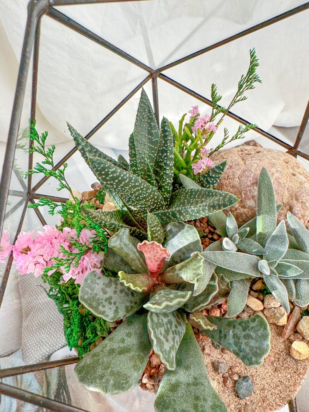 флорариум c теневыносливыми суккулентами Карелия