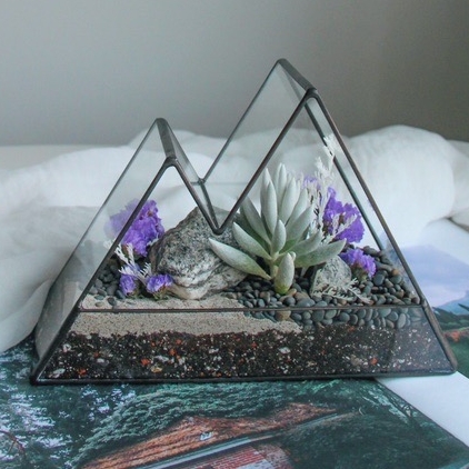 флорариум мини-горы Пушистые с теневыносливым Сенецио