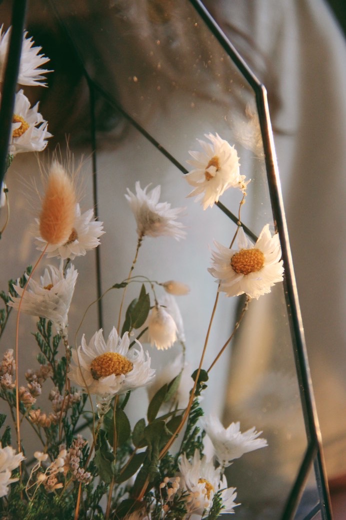 флорариум со стабилизированными растениями Скала ромашек