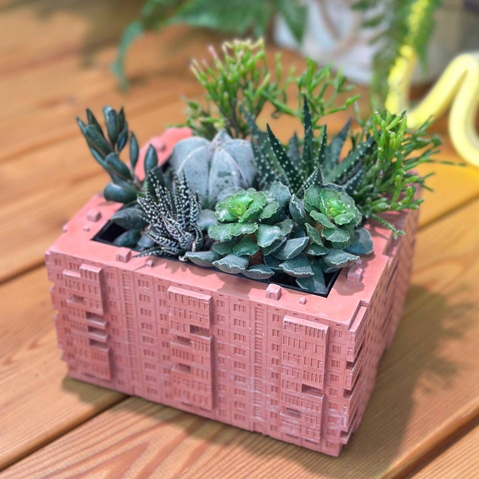 бетонное кашпо с суккулентами Anthill