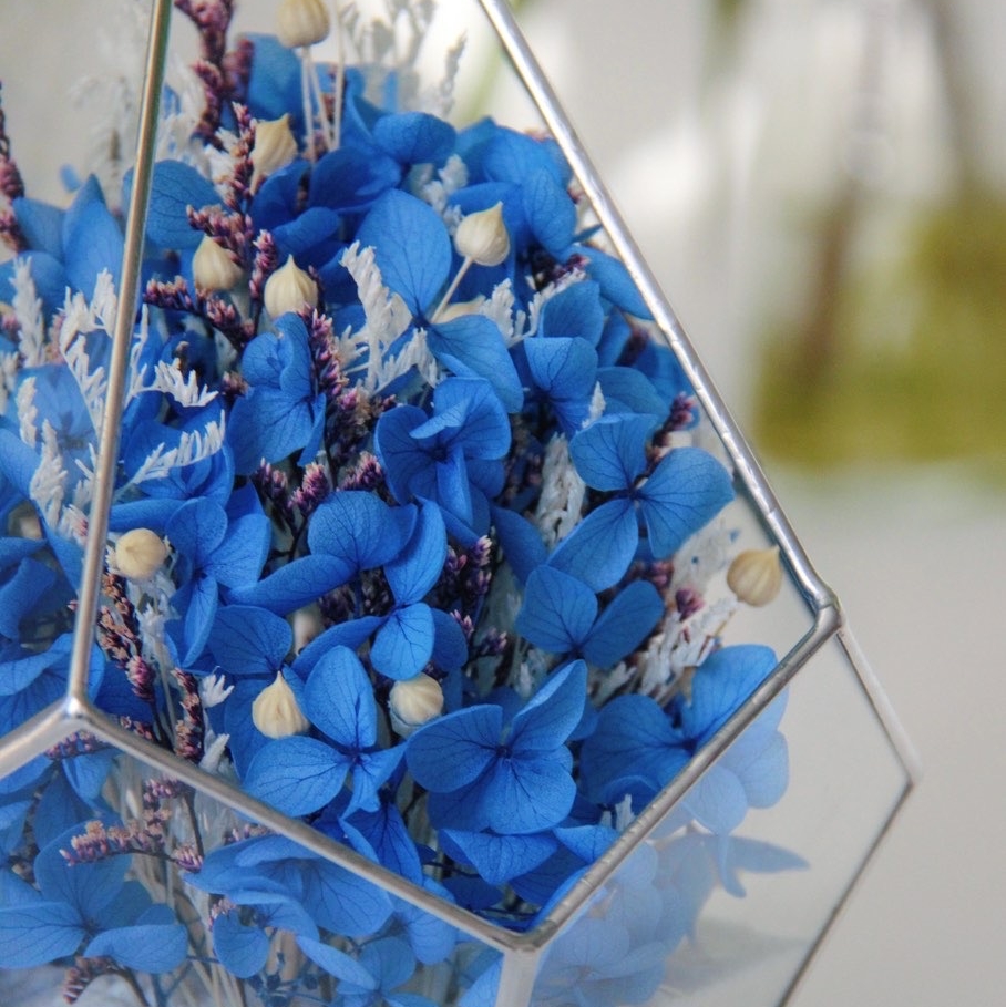 флорариум с синей гортензией Индиго