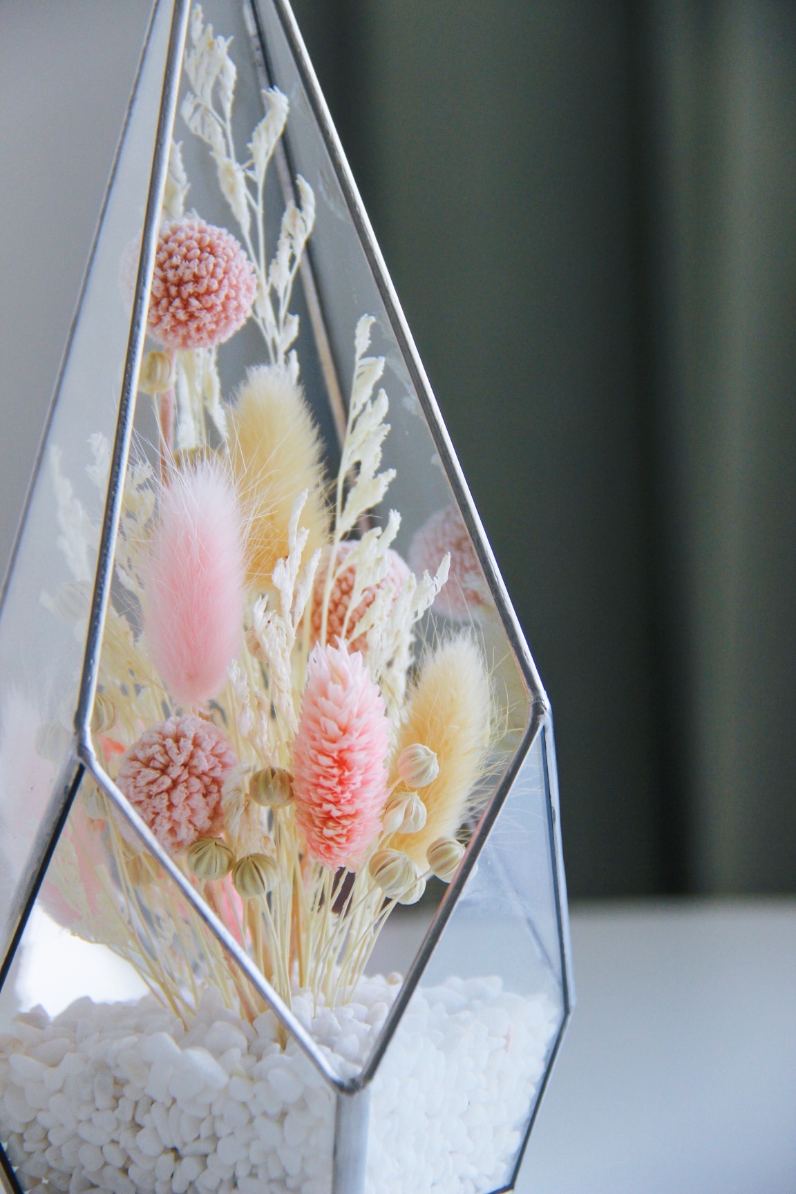 флорариум-комплимент со стабилизированной Краспедией