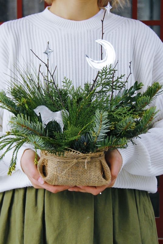 композиция из разных видов хвои с Символом года