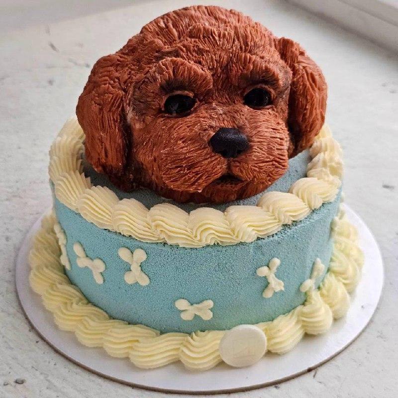 торт с собакой
