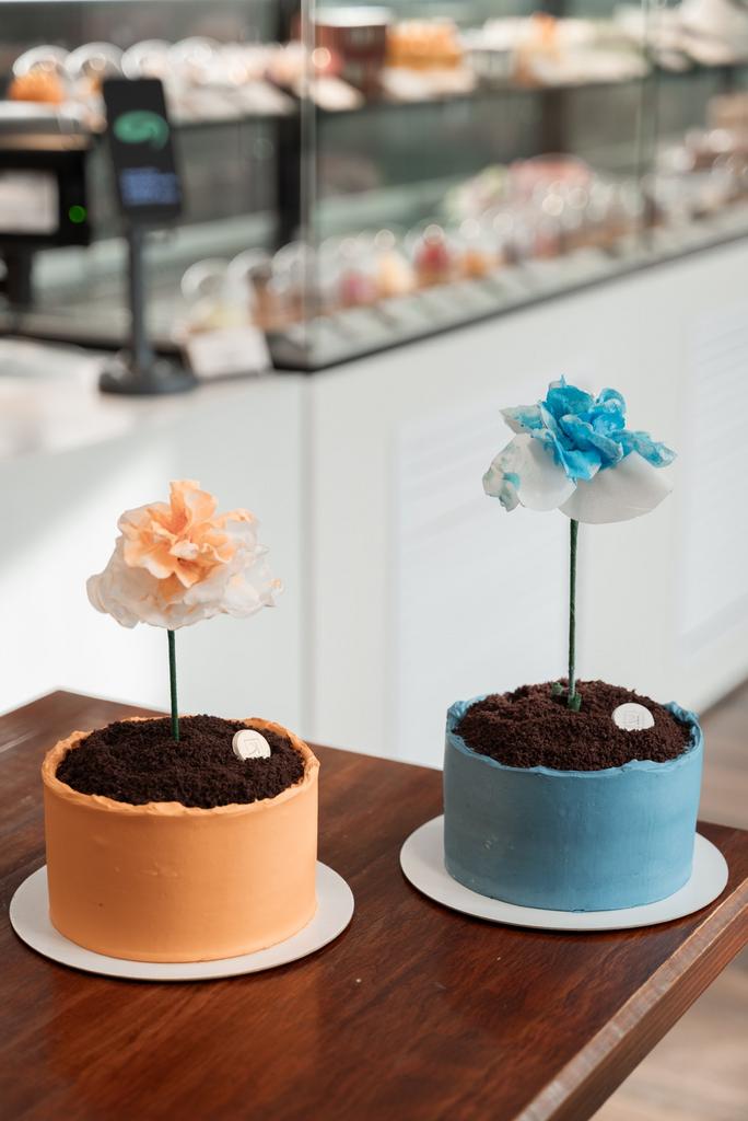 Торт Горшок с цветком