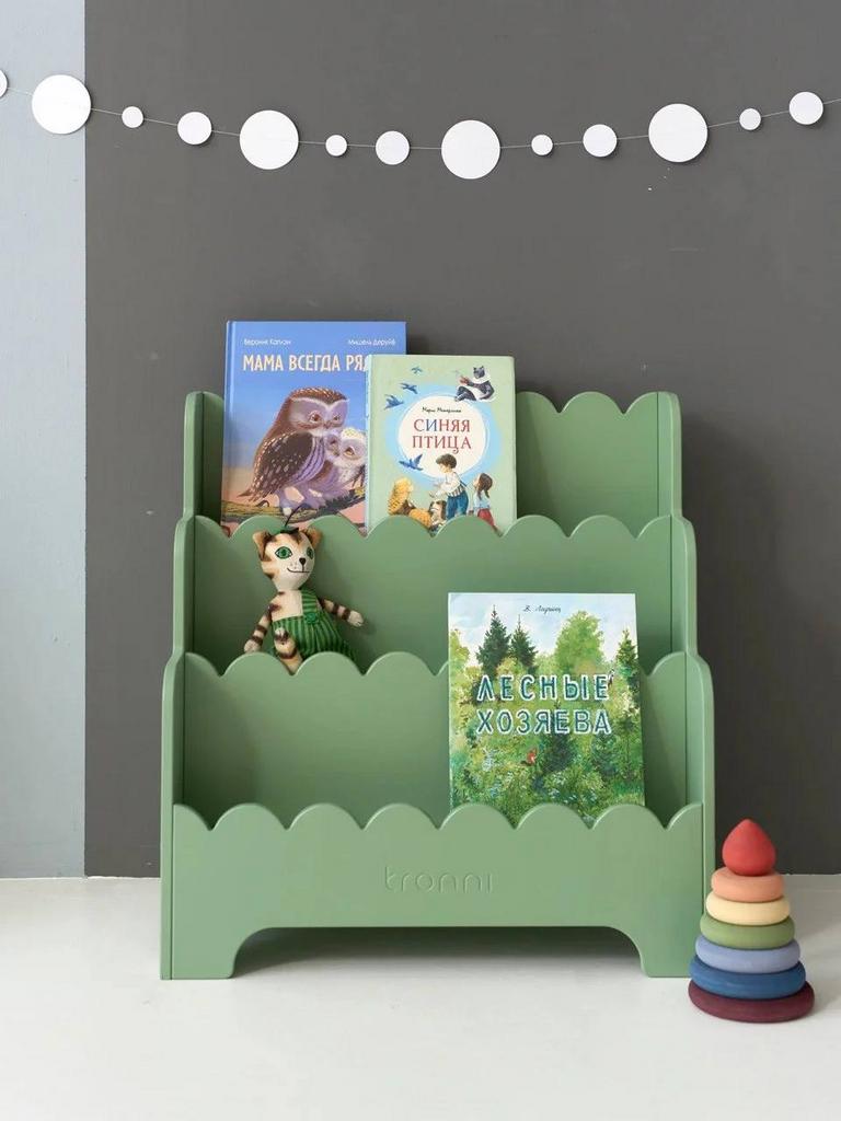 Книжнаяя полка РЮША