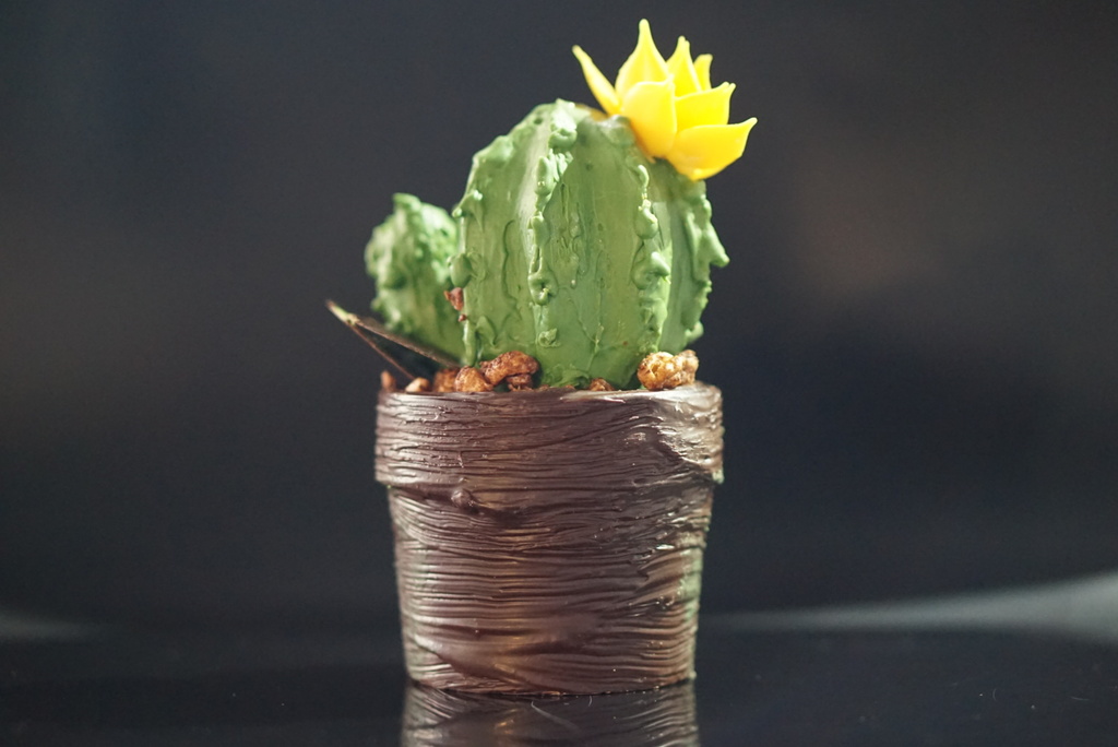 Практический курс "Кондитер-Шоколатье 2.0" Обновленная программа с новейшими технологиями! Лучшее по шоколаду!