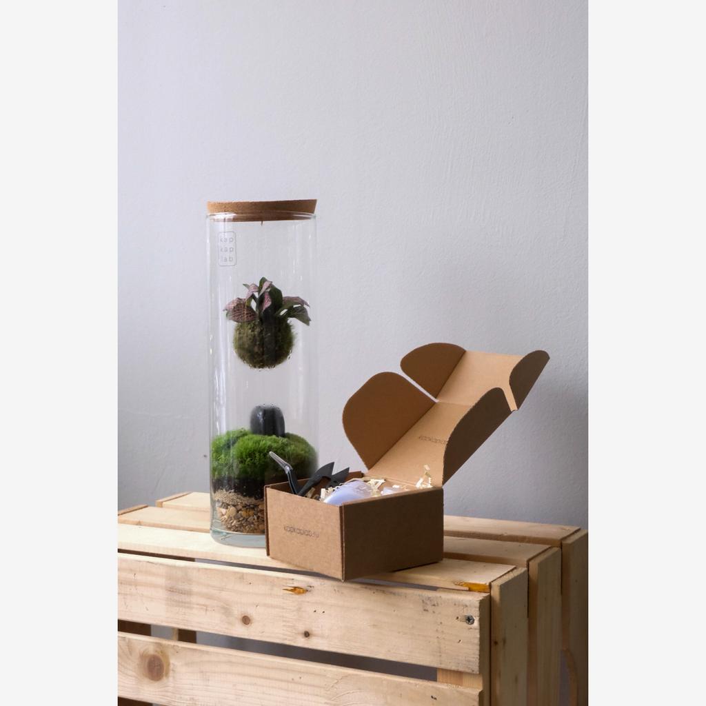 Тубус Фиттония PINK 30см. + набор по уходу