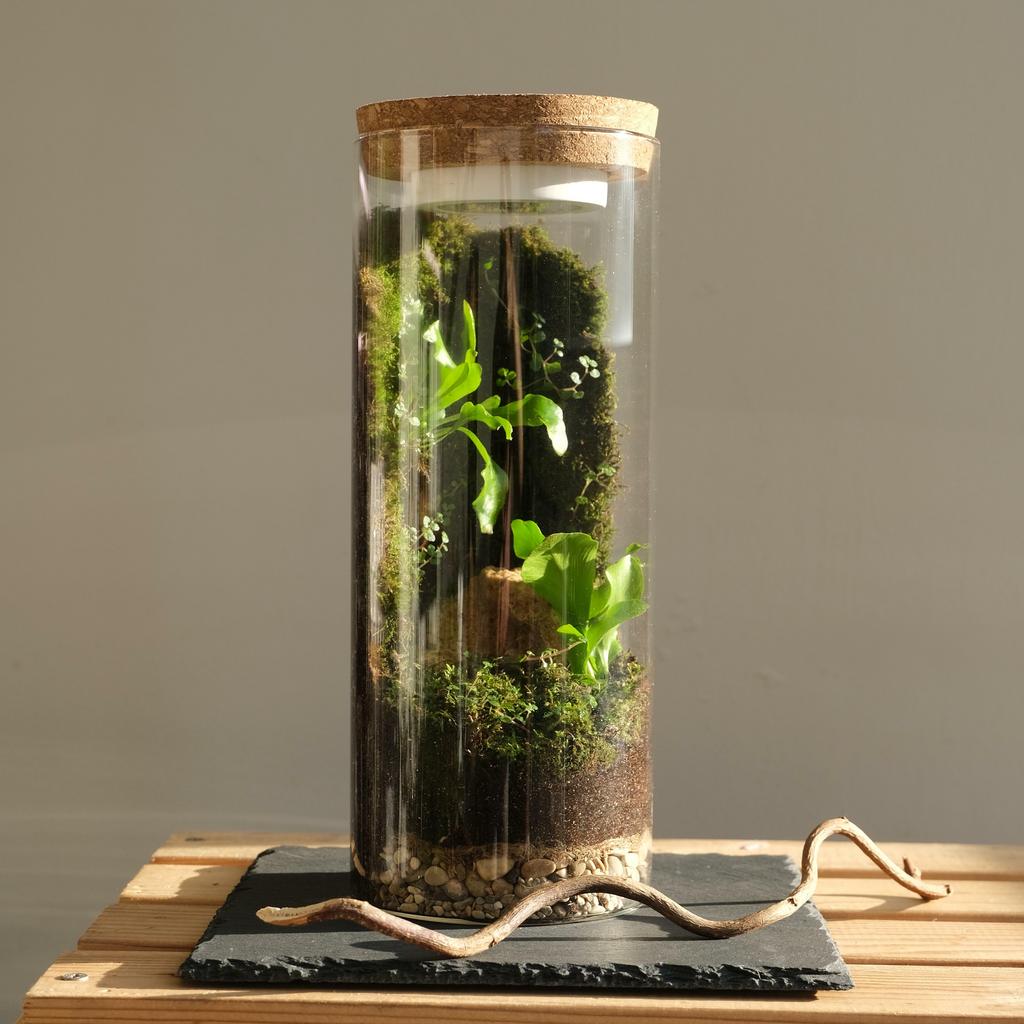 Флорариум/экосистема Tube/Green Wall light