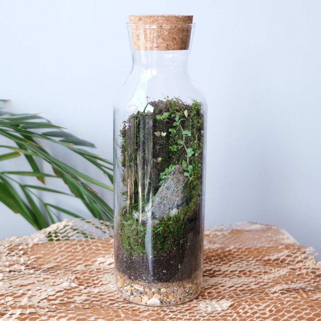 Флорариум / экосистема Bottle / Green Wall PINK