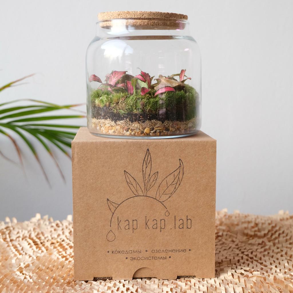 Флорариум "Сфера" Mini Garden RED