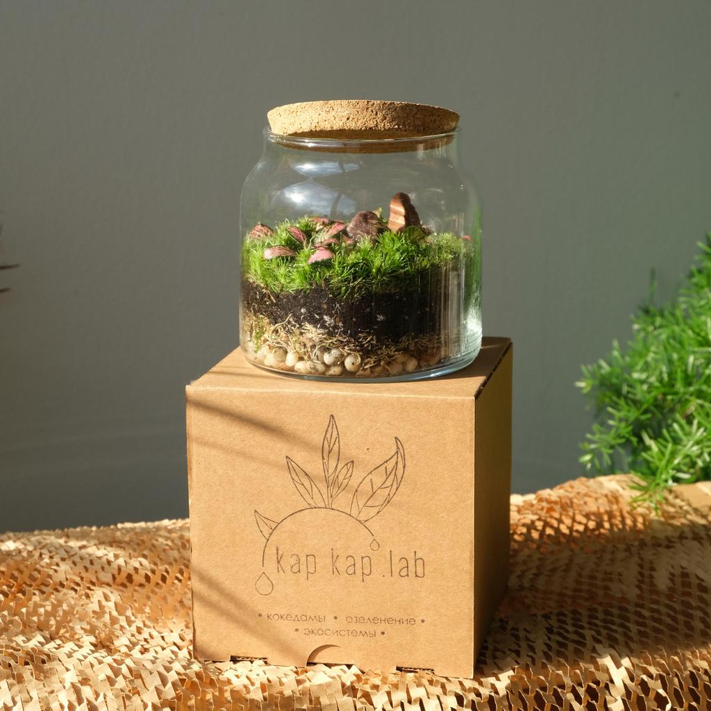 Флорариум "Сфера" Mini Garden PINK