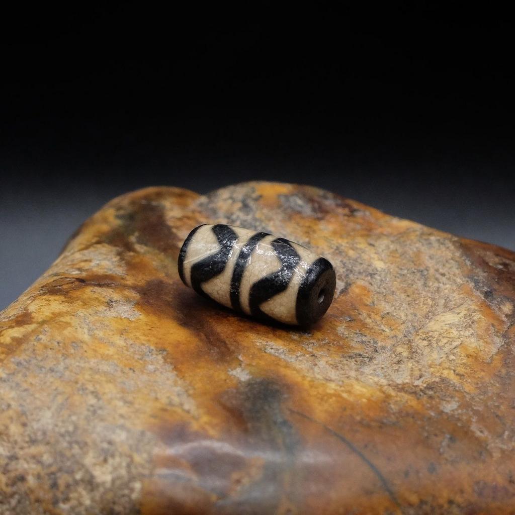 Дзи двойной тигровый клык № 1