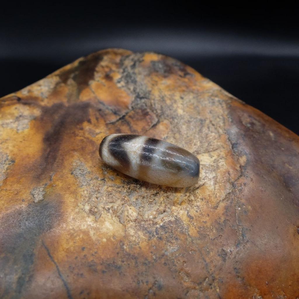 Бусина дзи двойные зубы тигра №7