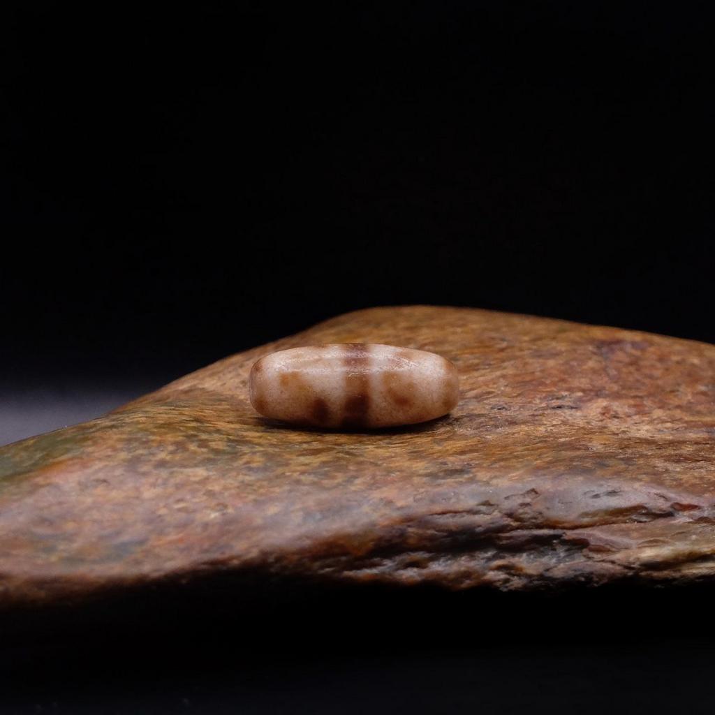 Бусина дзи двойные зубы тигра №8