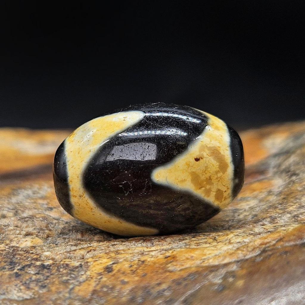 Бусина дзи Зуб тигра №9