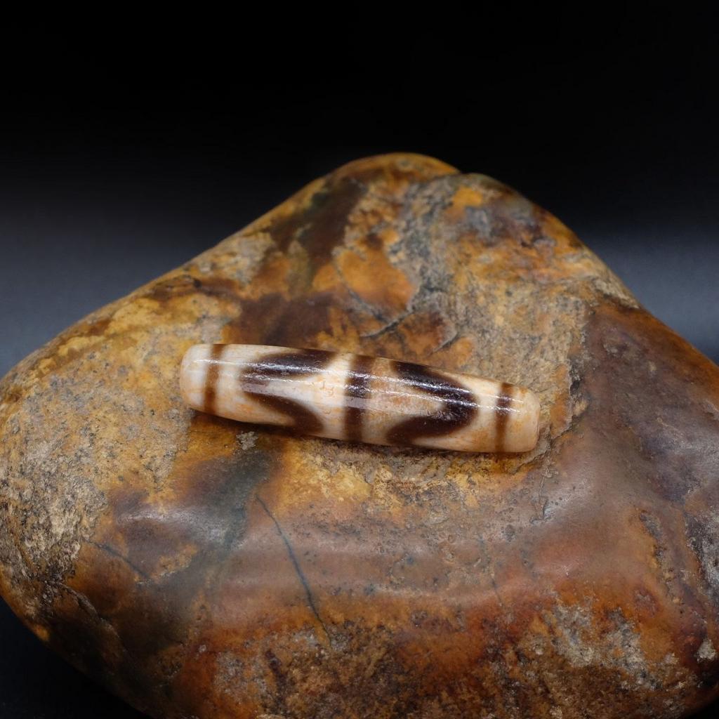 Бусина дзи двойные зубы тигра №12