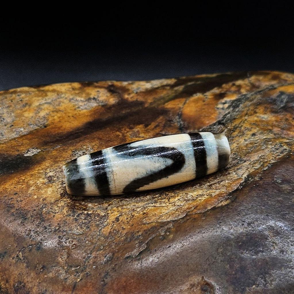 Бусина дзи Зубы тигра №14