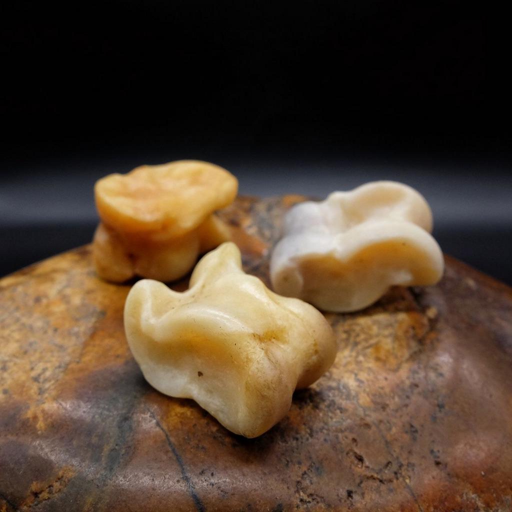 Кажики - шаманский оракул из косточек