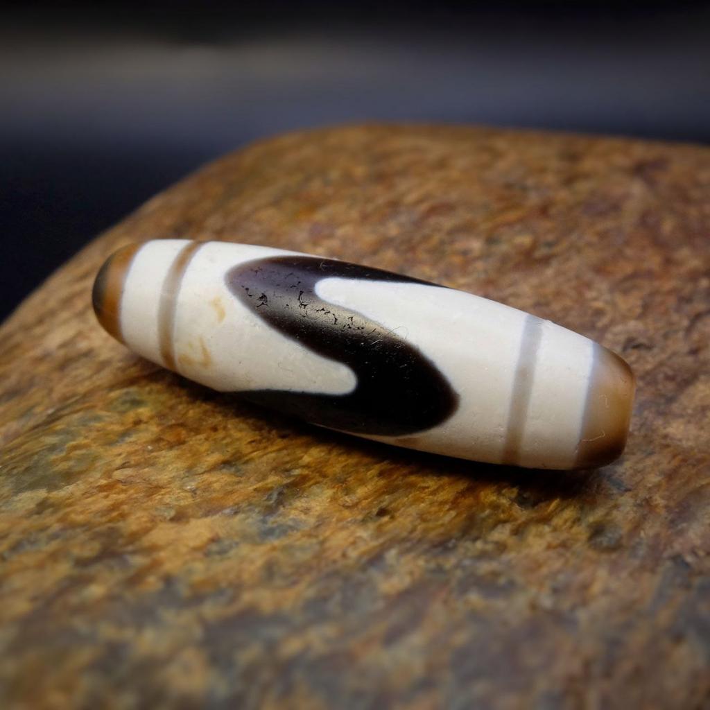 Бусина дзи зубы тигра №25