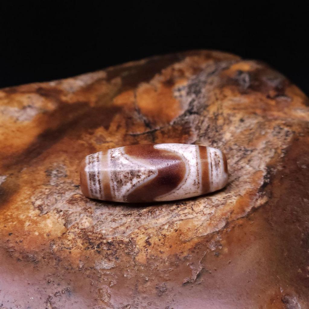 Бусина дзи зубы тигра №25