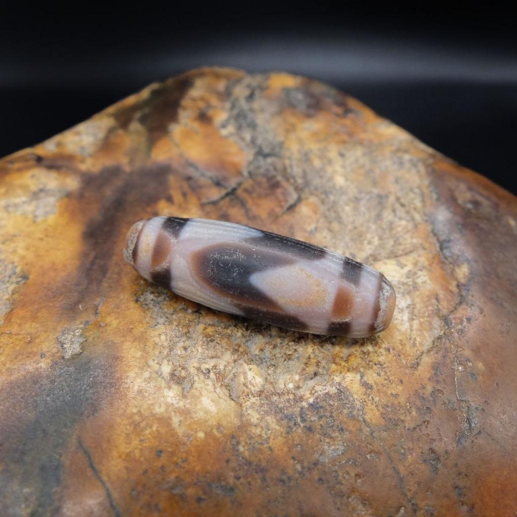 Бусина дзи зубы тигра №30