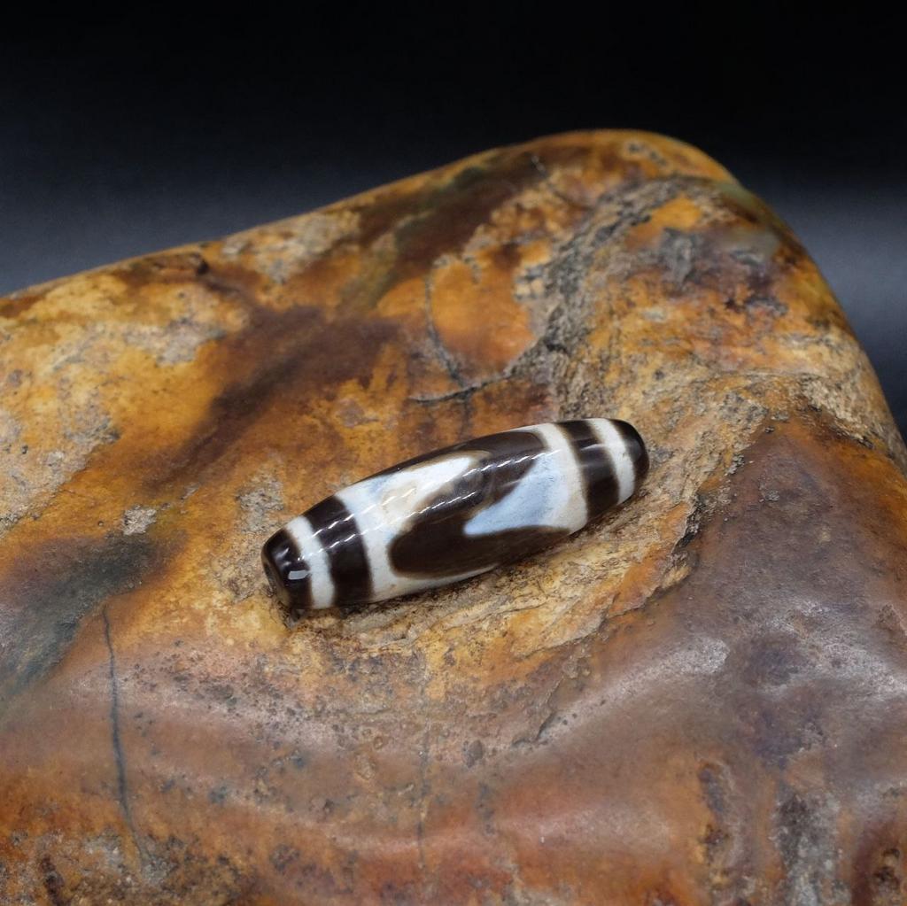 Бусина Дзи Зубы Тигра N°34